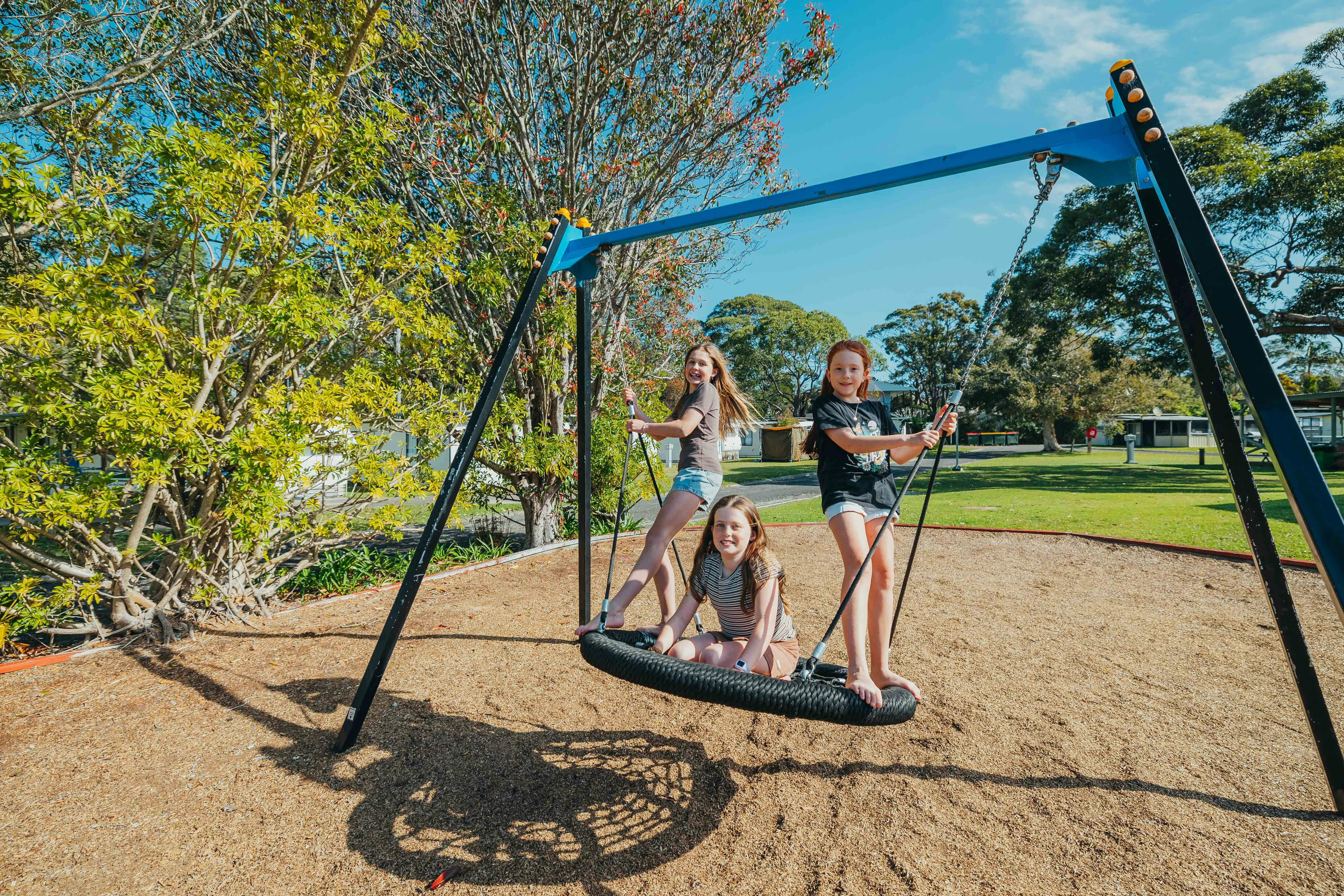 Holiday Haven Swan Lake