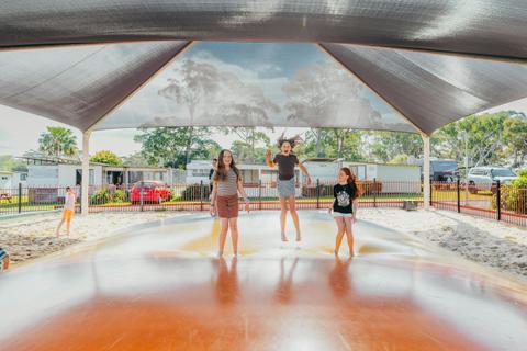 Holiday Haven Swan Lake