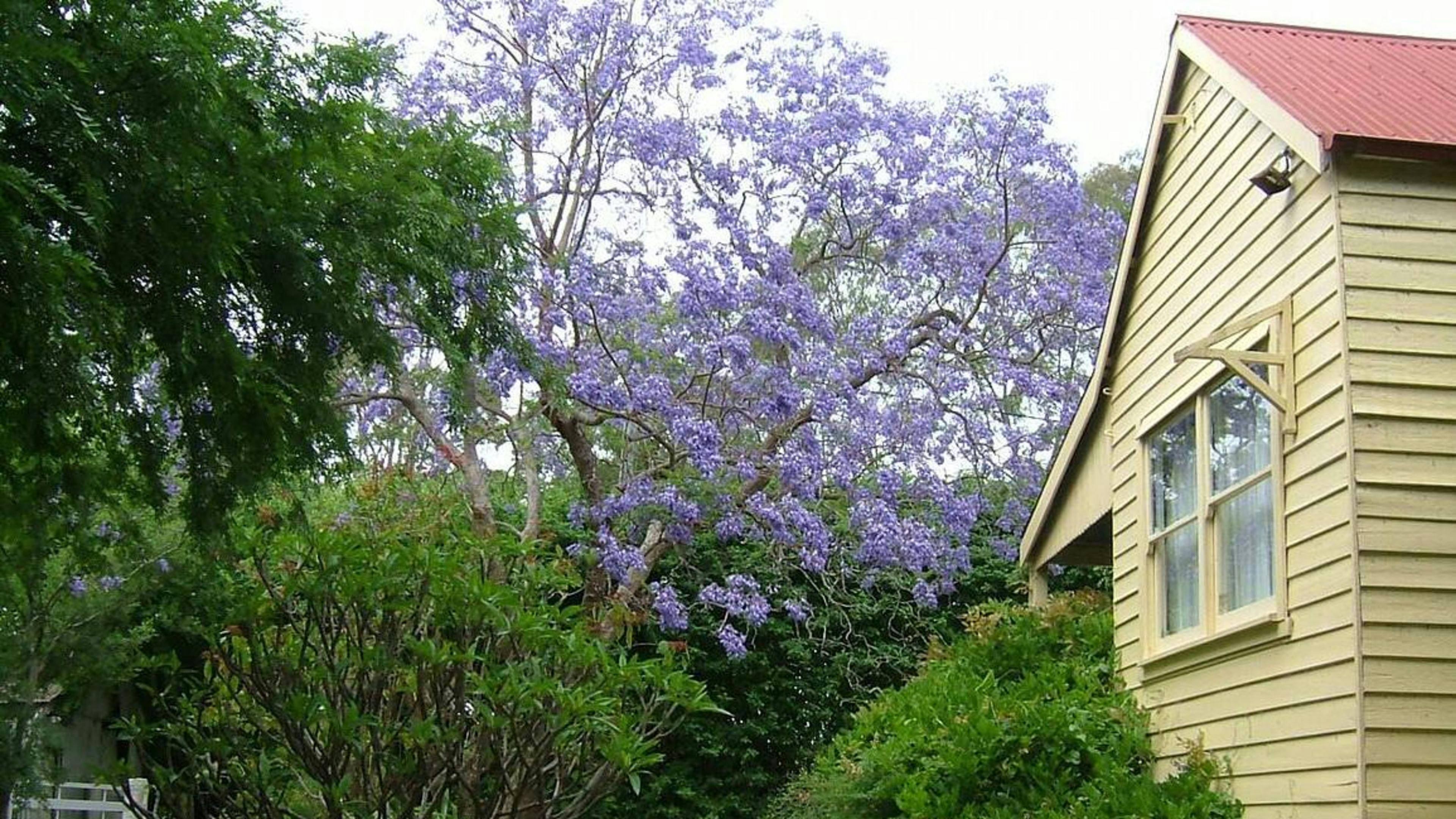Hermitage Cottage Farm Kurrajong