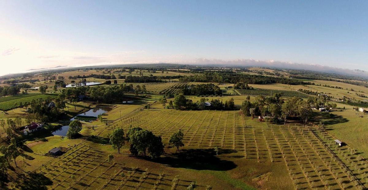 Hunter Homestead