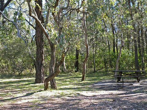 Horton Falls campground and picnic area