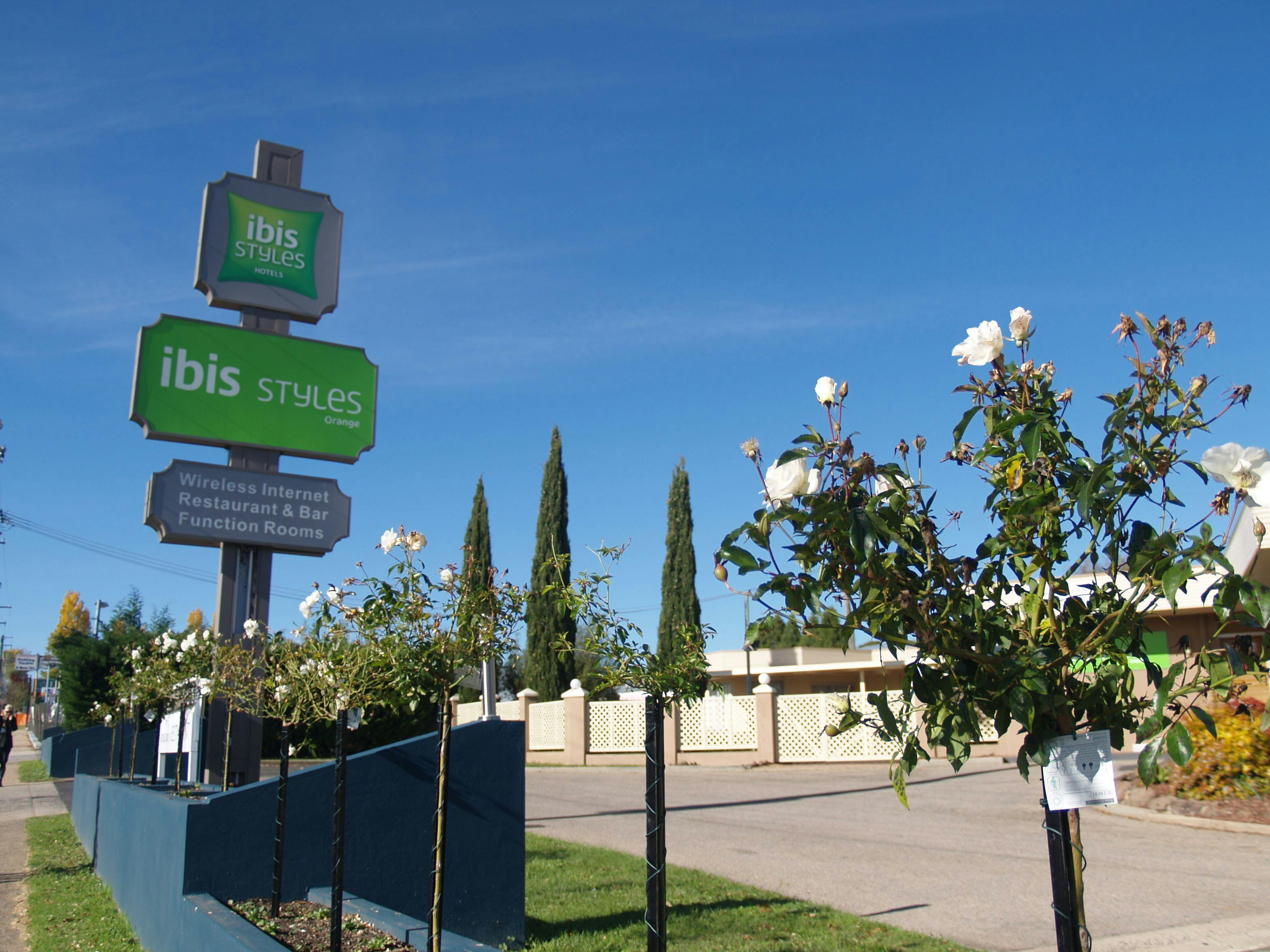 ibis Styles Orange