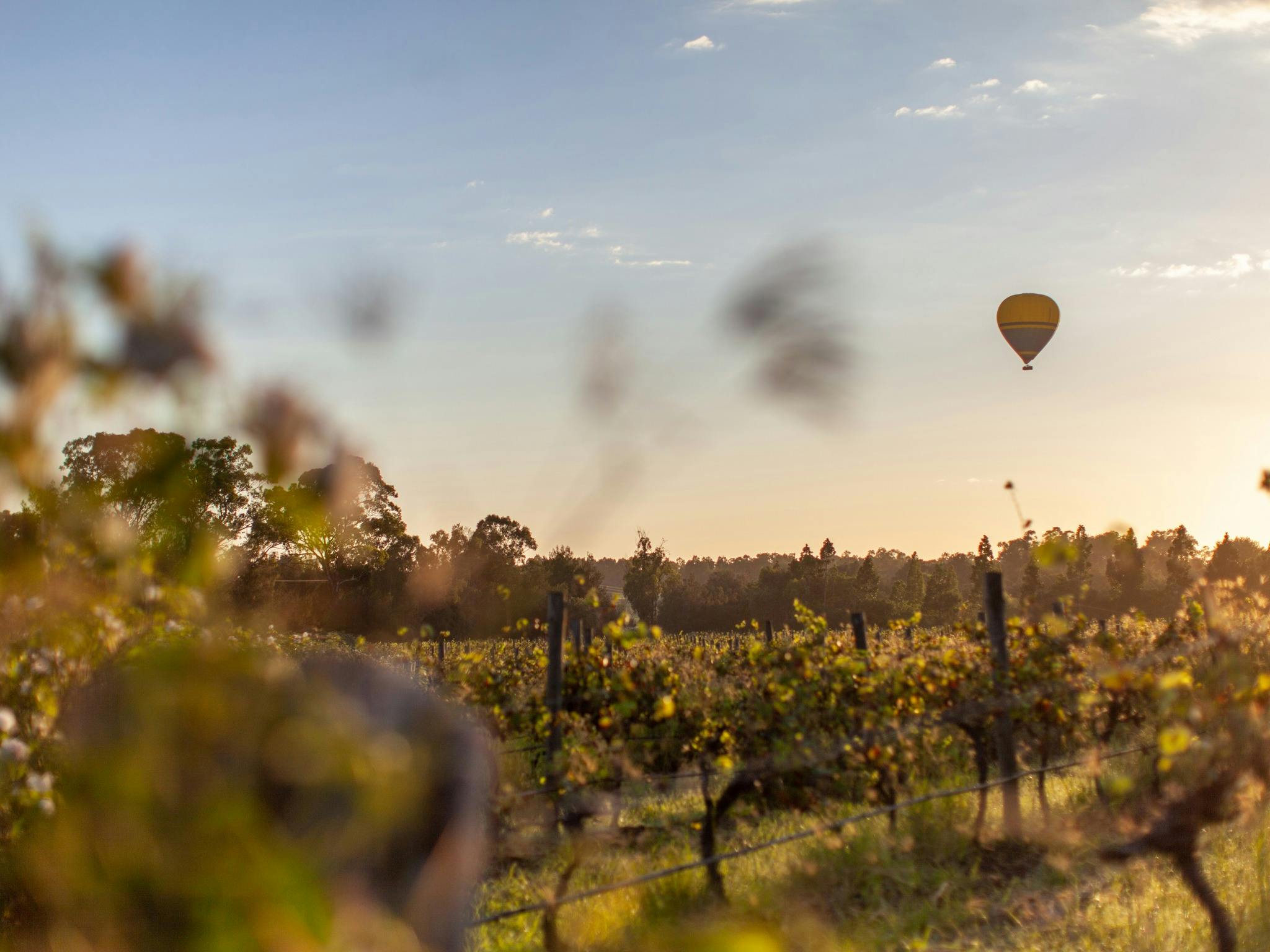Sunrise over the valley