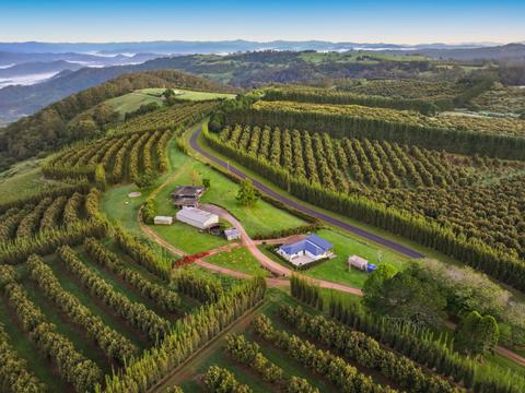 Hilltop Farm Stay