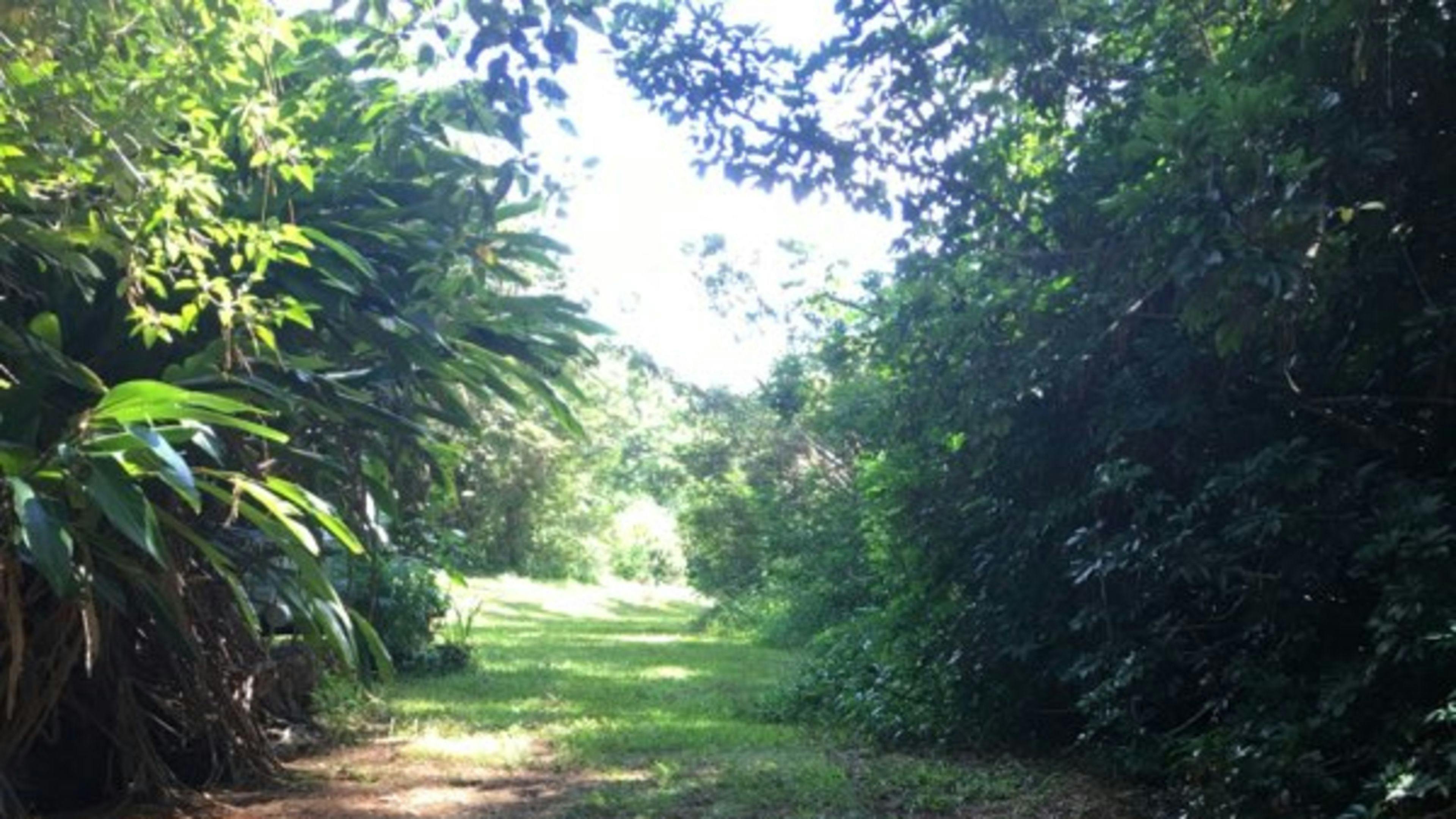 Parking for card and campers 
Can drive in further