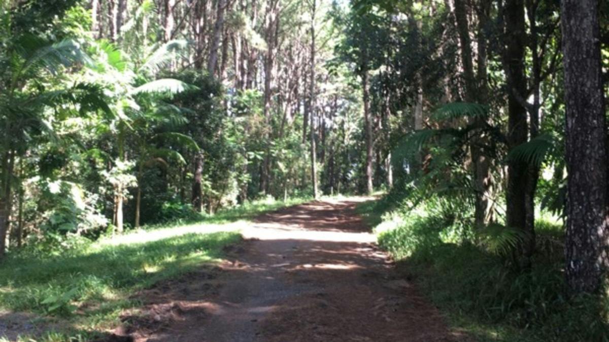 Driveway walk to the toilet 