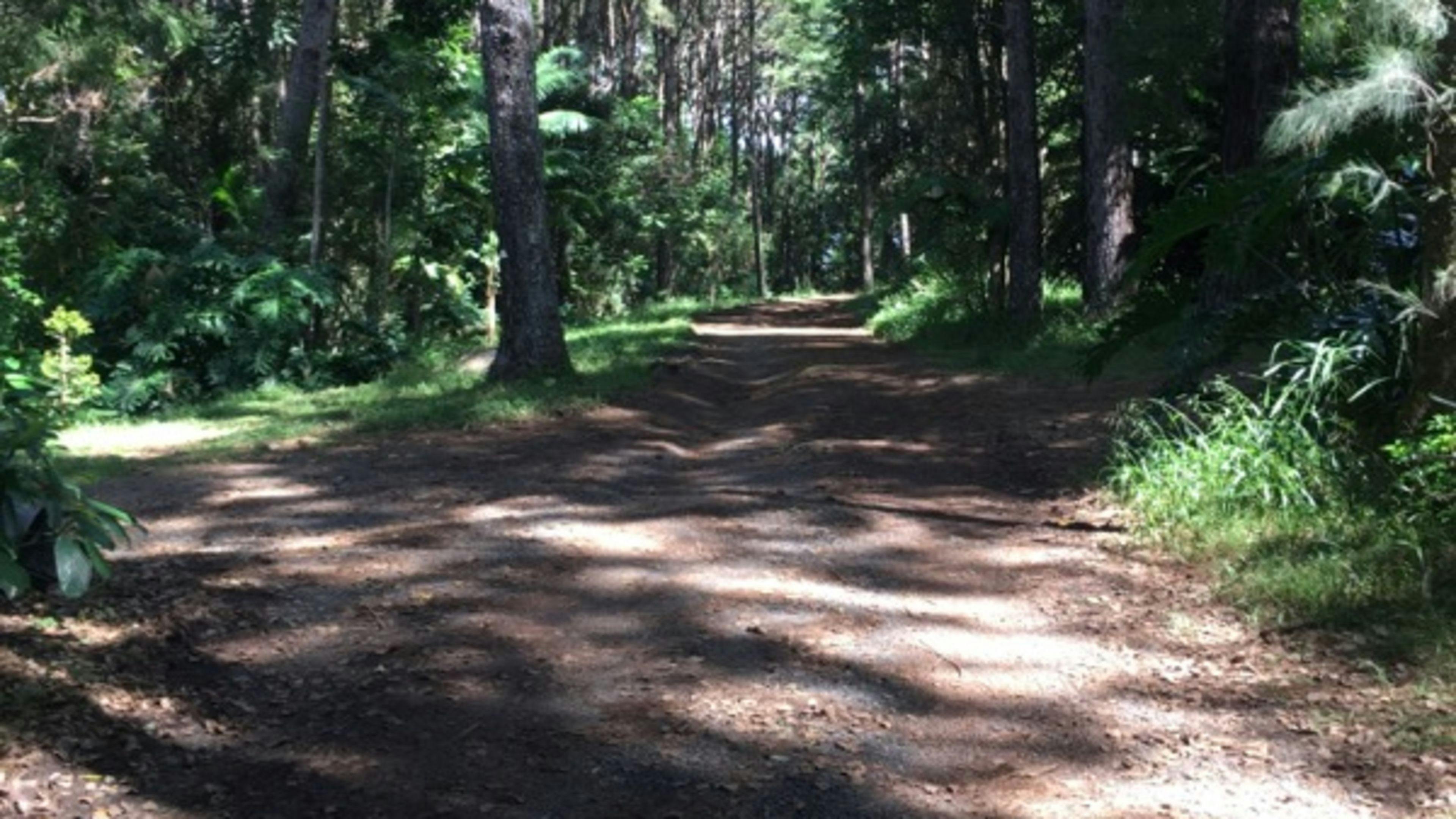 Entrance and walk to ammenities