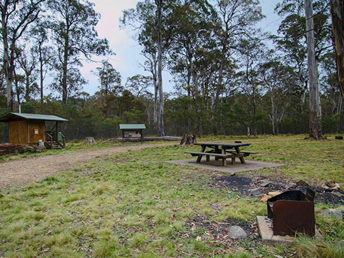 Horse Swamp campground, Barrington Tops State Conservation Area. Photo: John Spencer/NSW Government
