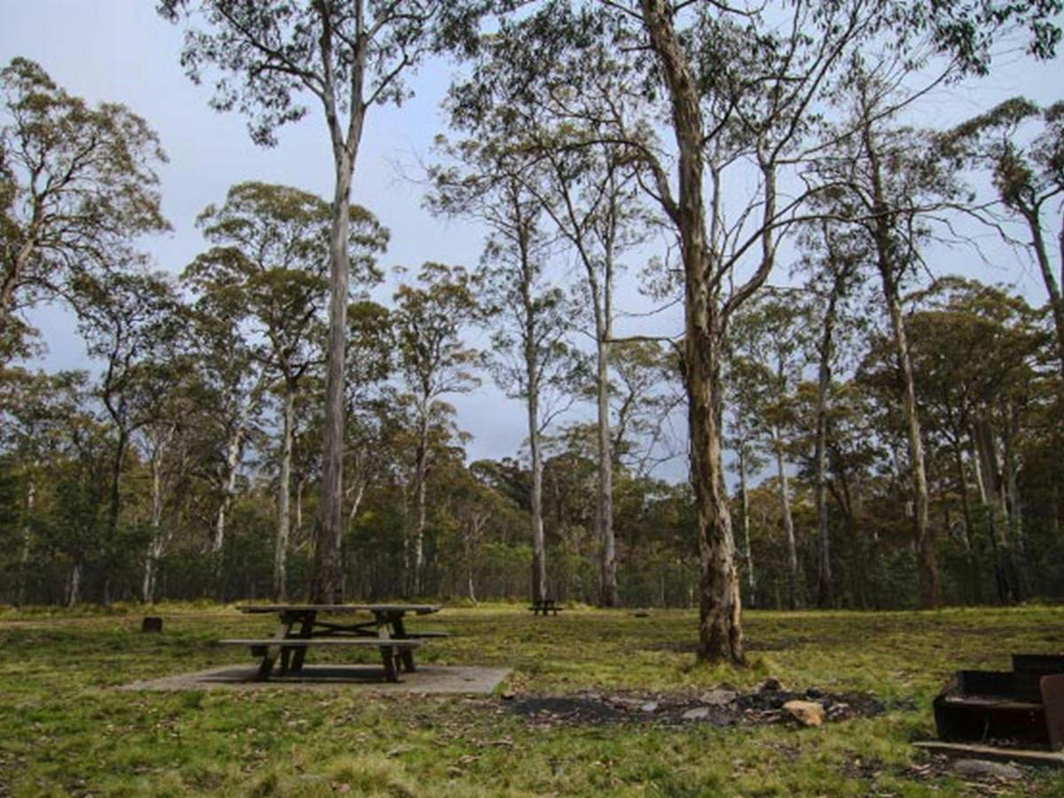 Horse Swamp campground, Barrington Tops State Conservation Area. Photo: John Spencer/NSW Government