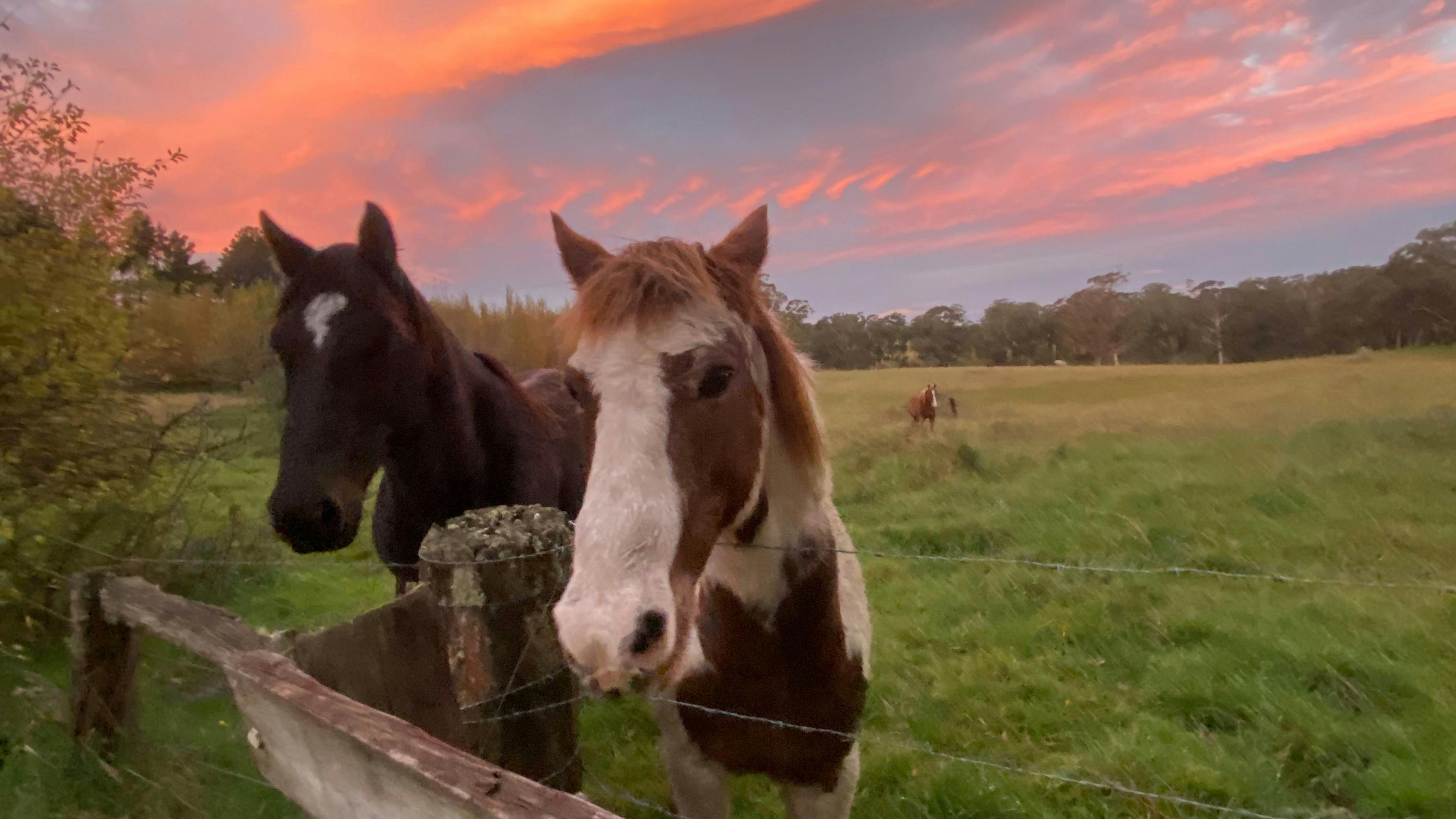 Hidden Brook Southern Highlands NSW