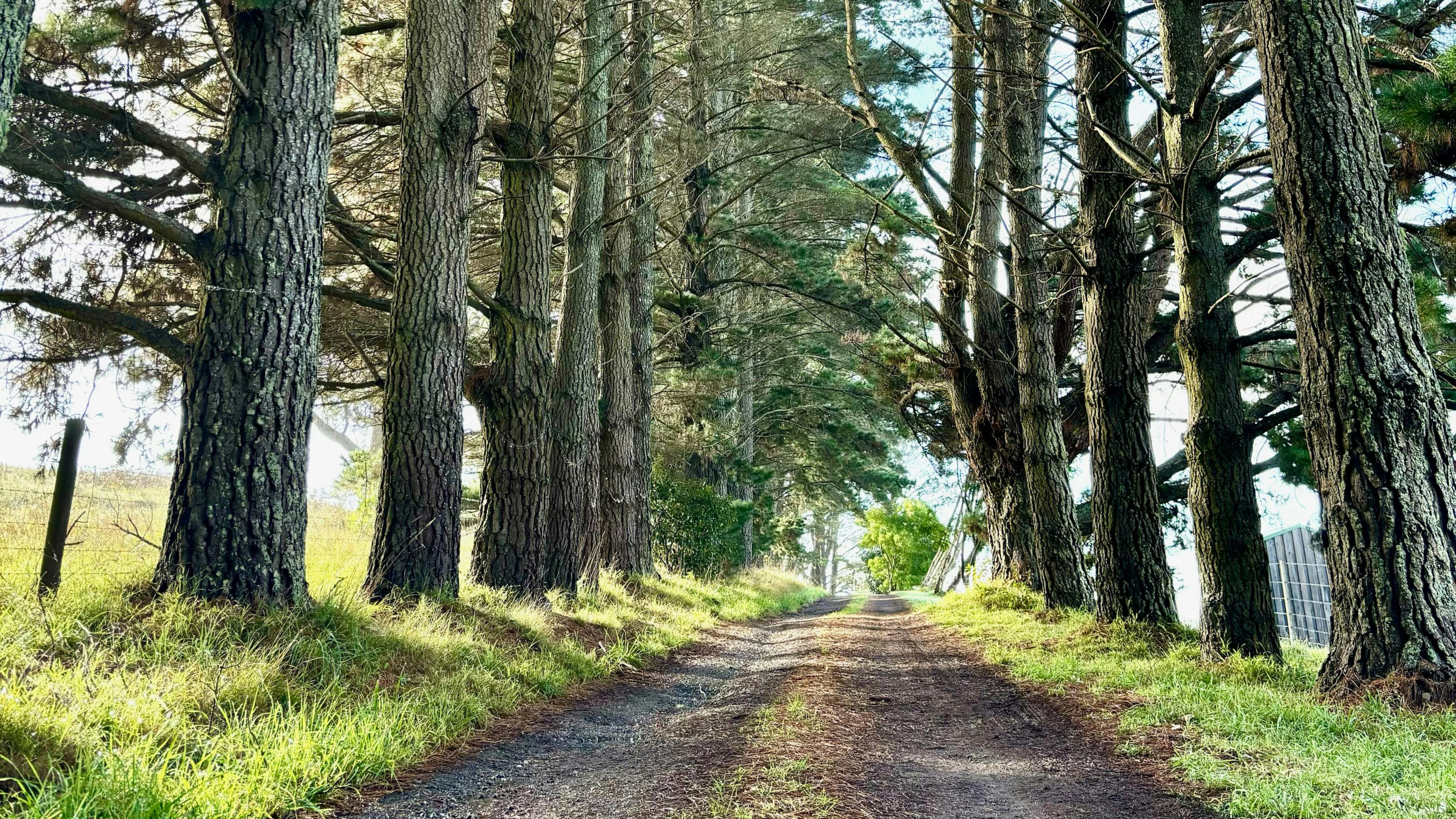 Hidden Brook Southern Highlands NSW