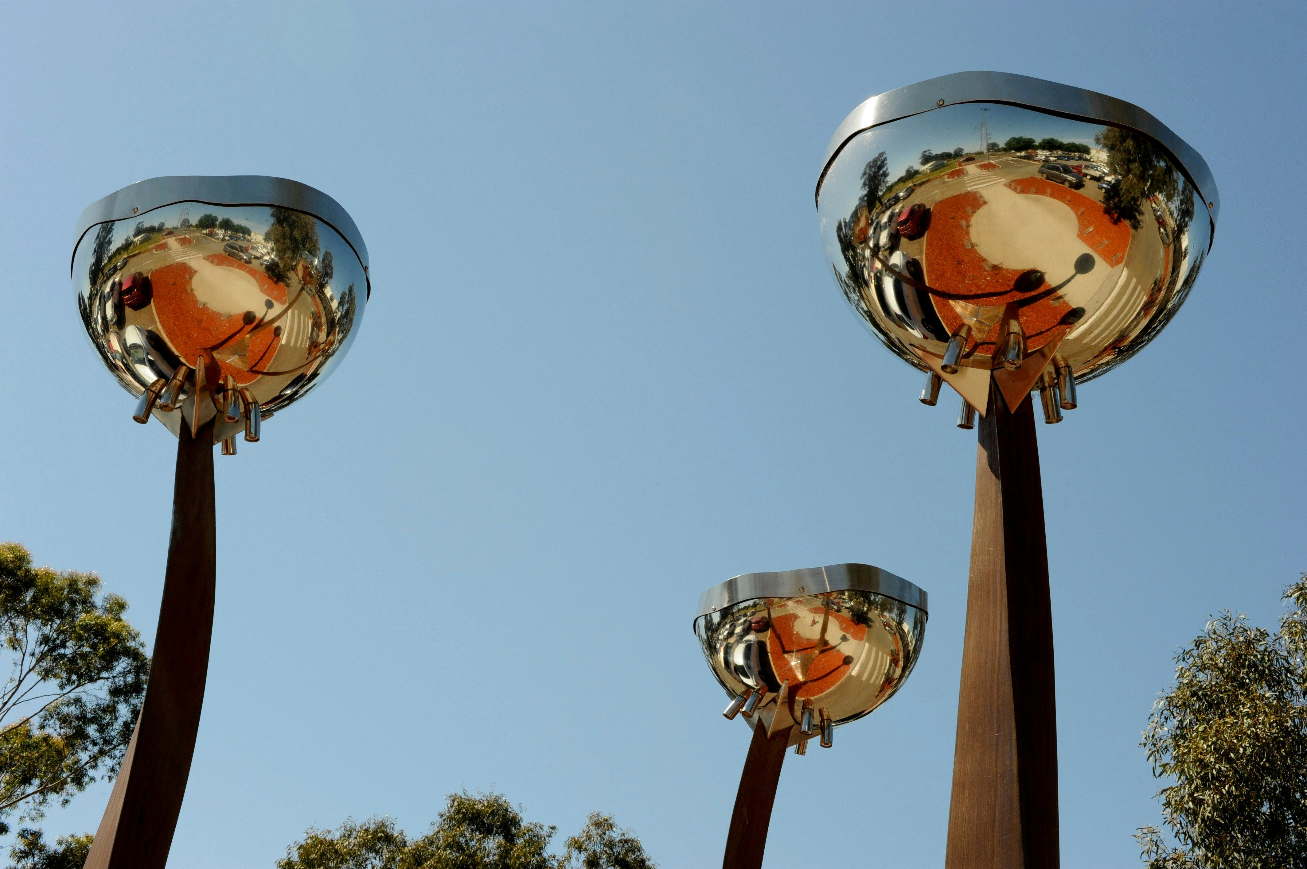Public Artwork in Wagga Wagga