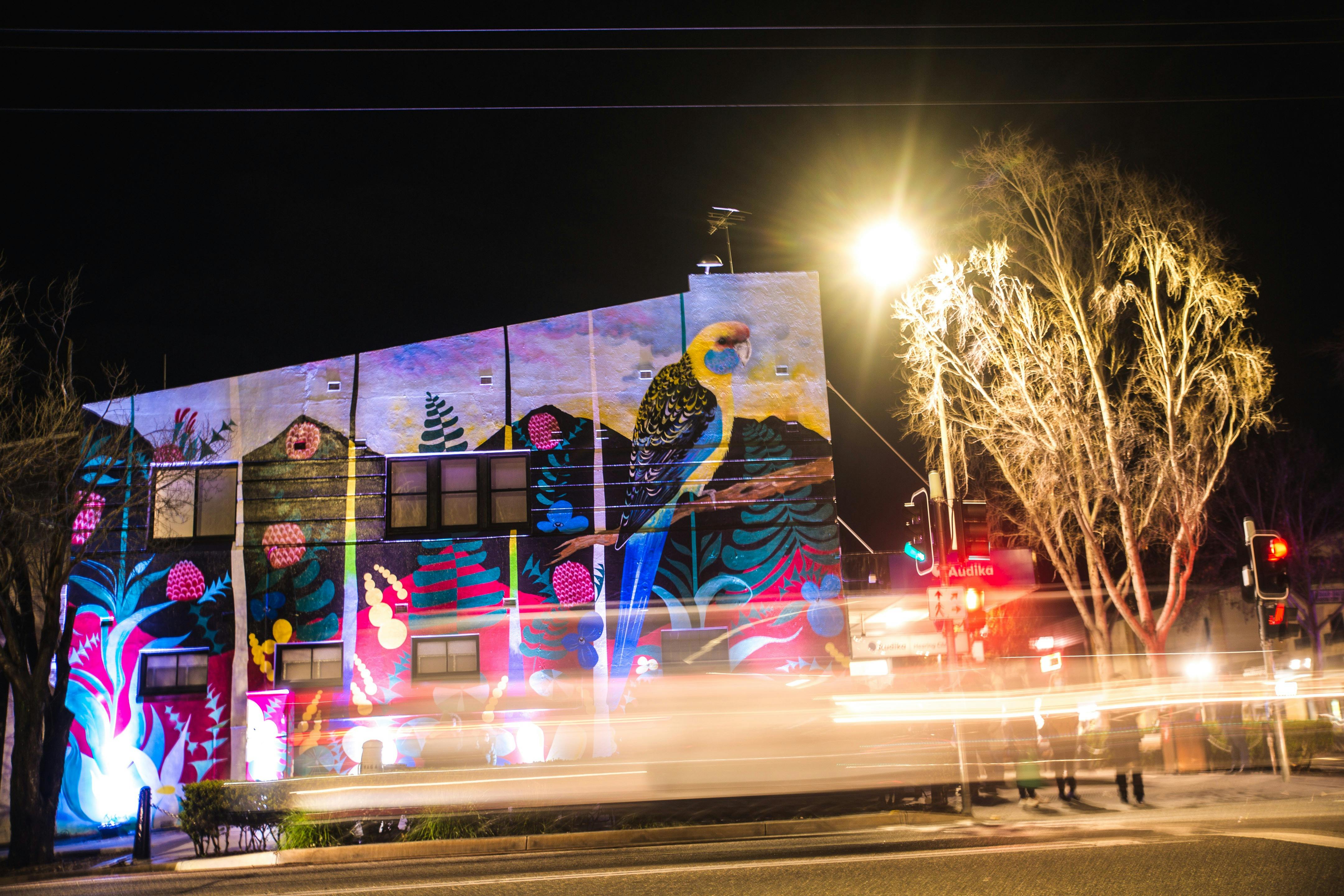Public Art Wagga