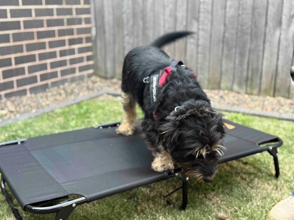 Kirsten Accommodation Mudgee Fleetwood House Dog Friendly Villa