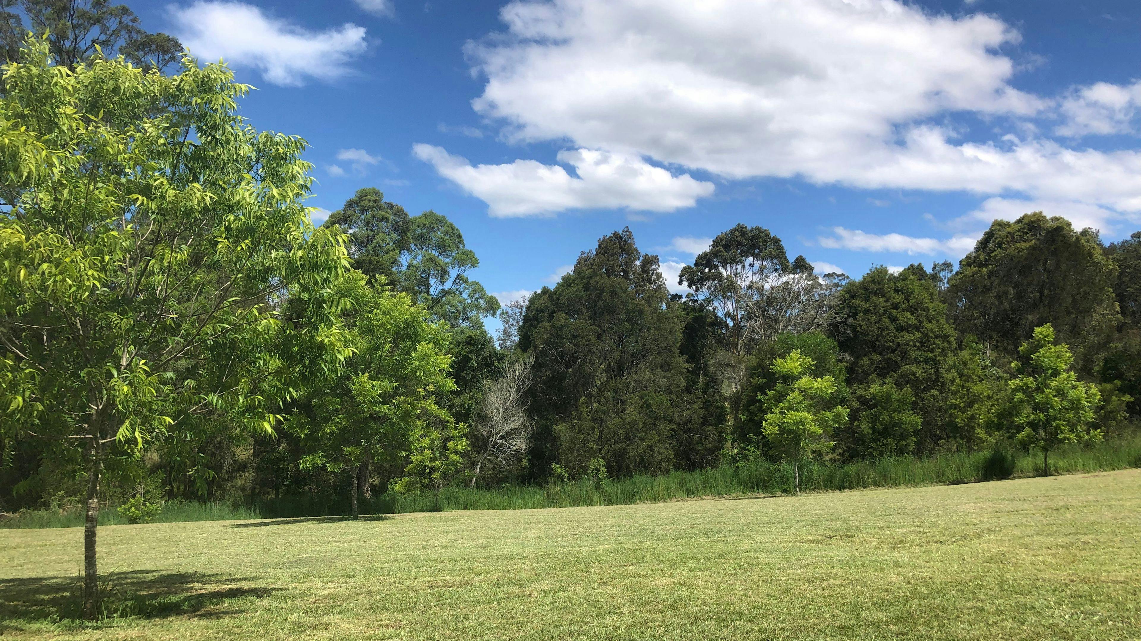 Your site amount out pecan orchard.