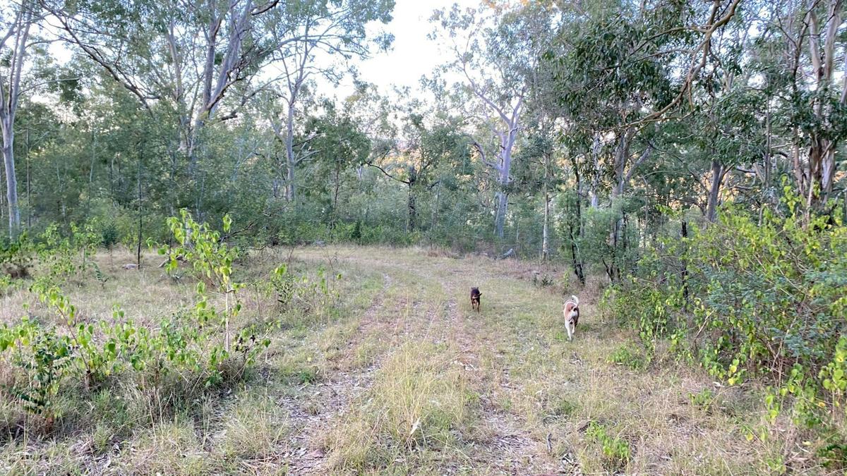 Hunter River Bush Camp