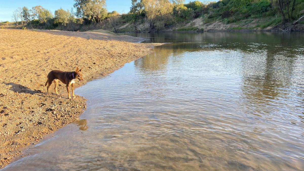 Hunter River Bush Camp