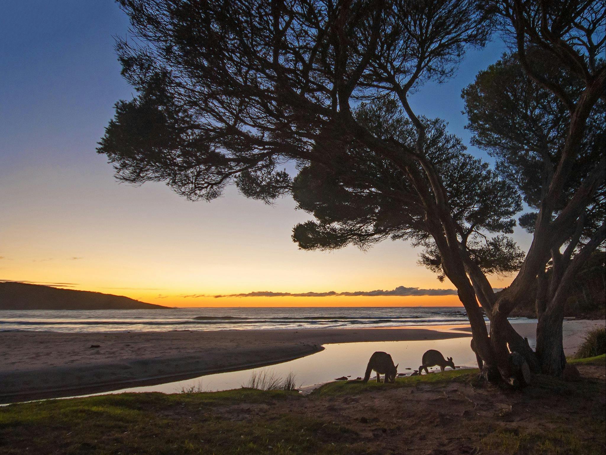 Ingenia Holidays Merry Beach