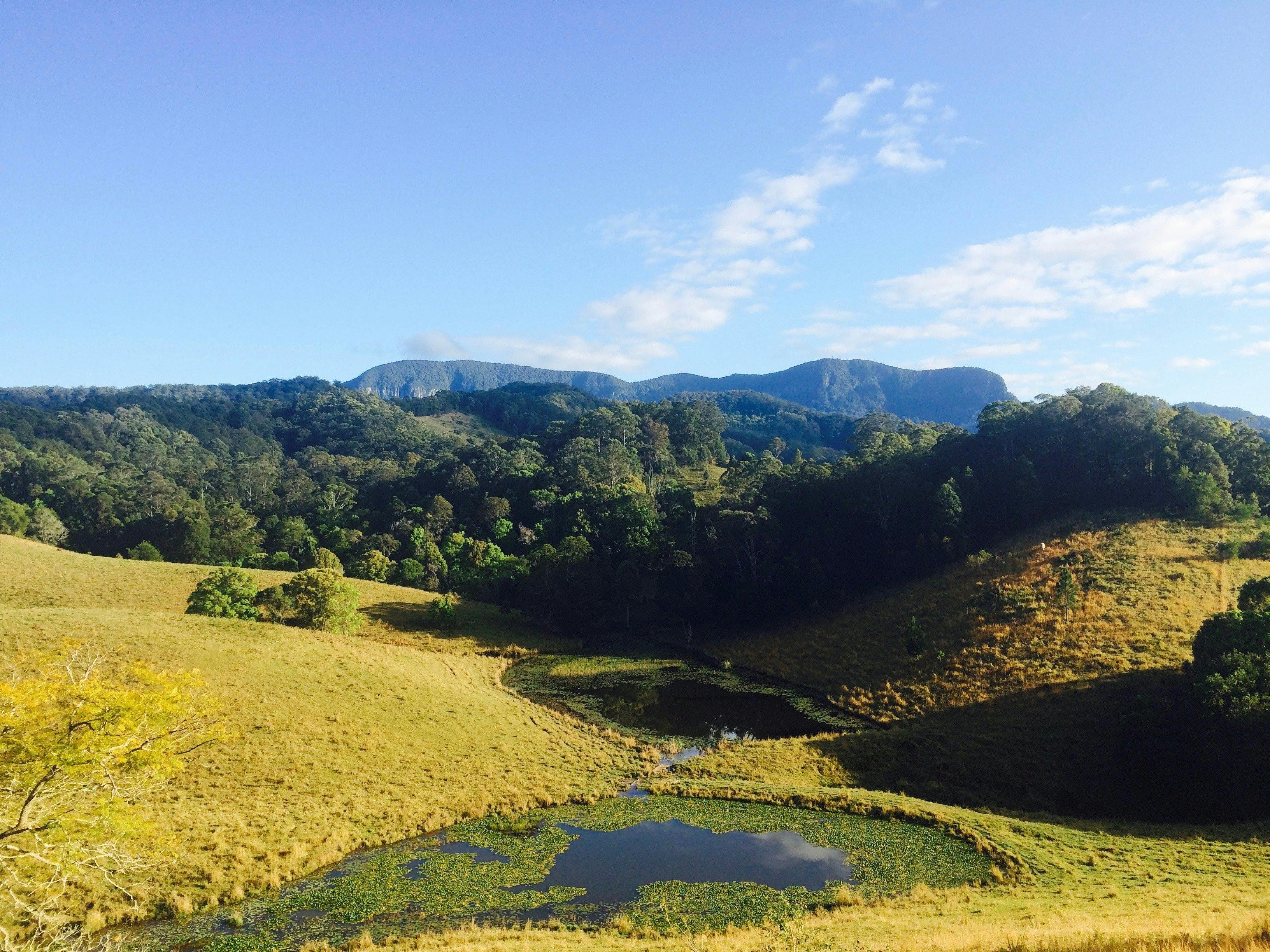 Springbrook from Hillcrest