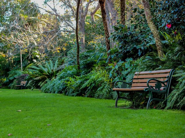 EG Waterhouse National Camellia Gardens