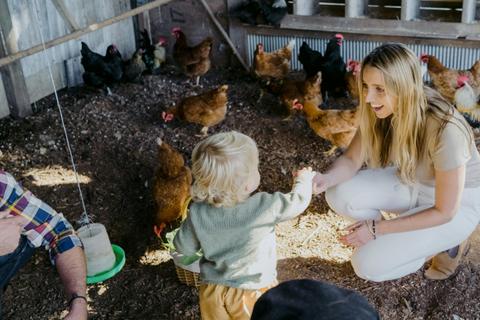 Jamberoo Valley Farm Cottages