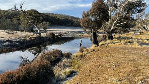 Kallarroo Farm, nr Nimmitabel