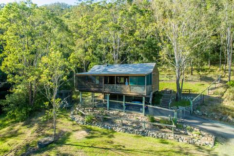 Bluegum