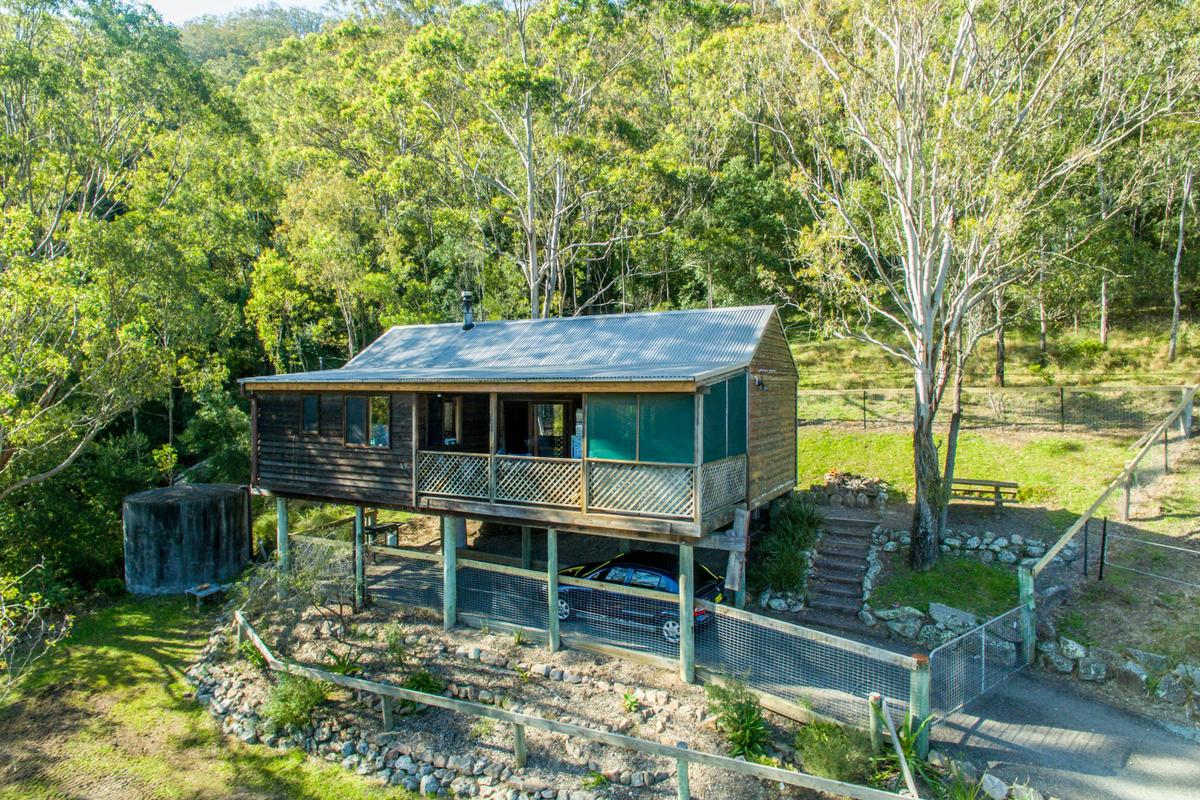 Bluegum
