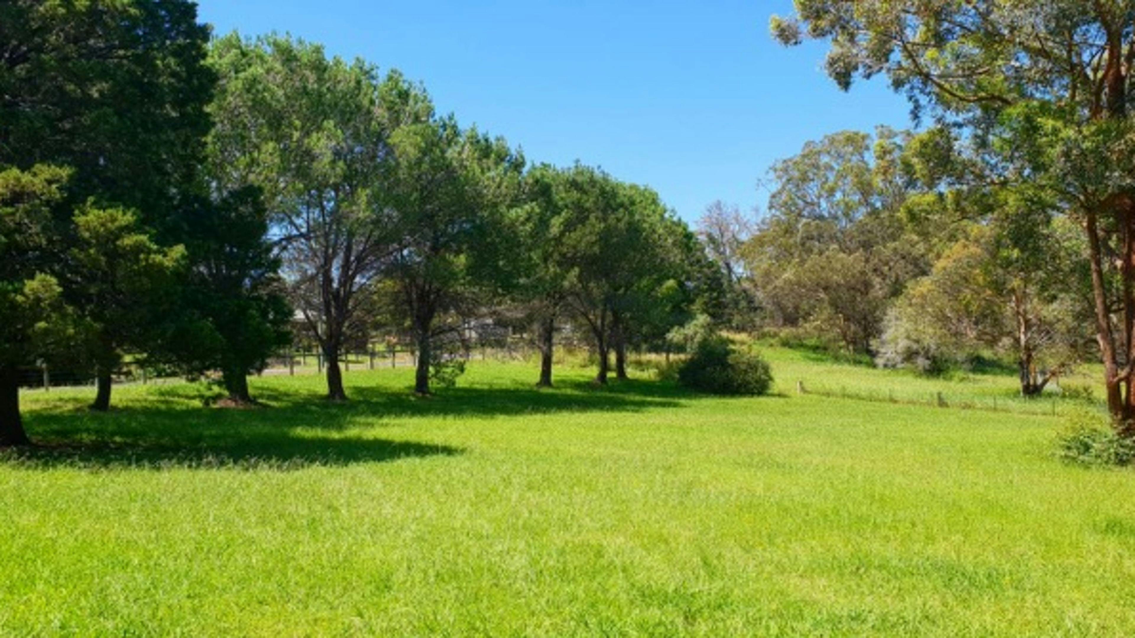 Innisfree, nr Blue Mountains