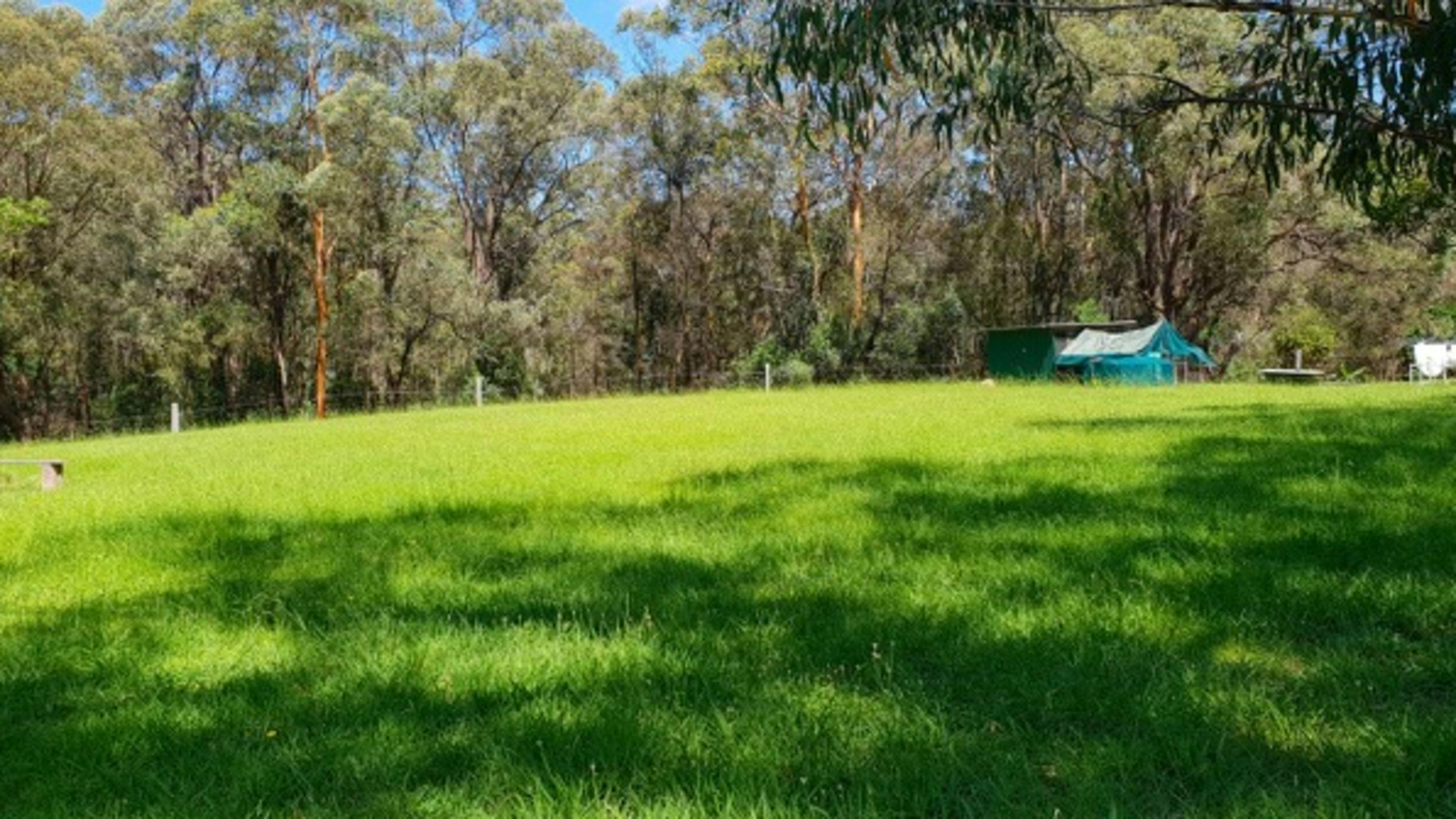 Innisfree, nr Blue Mountains