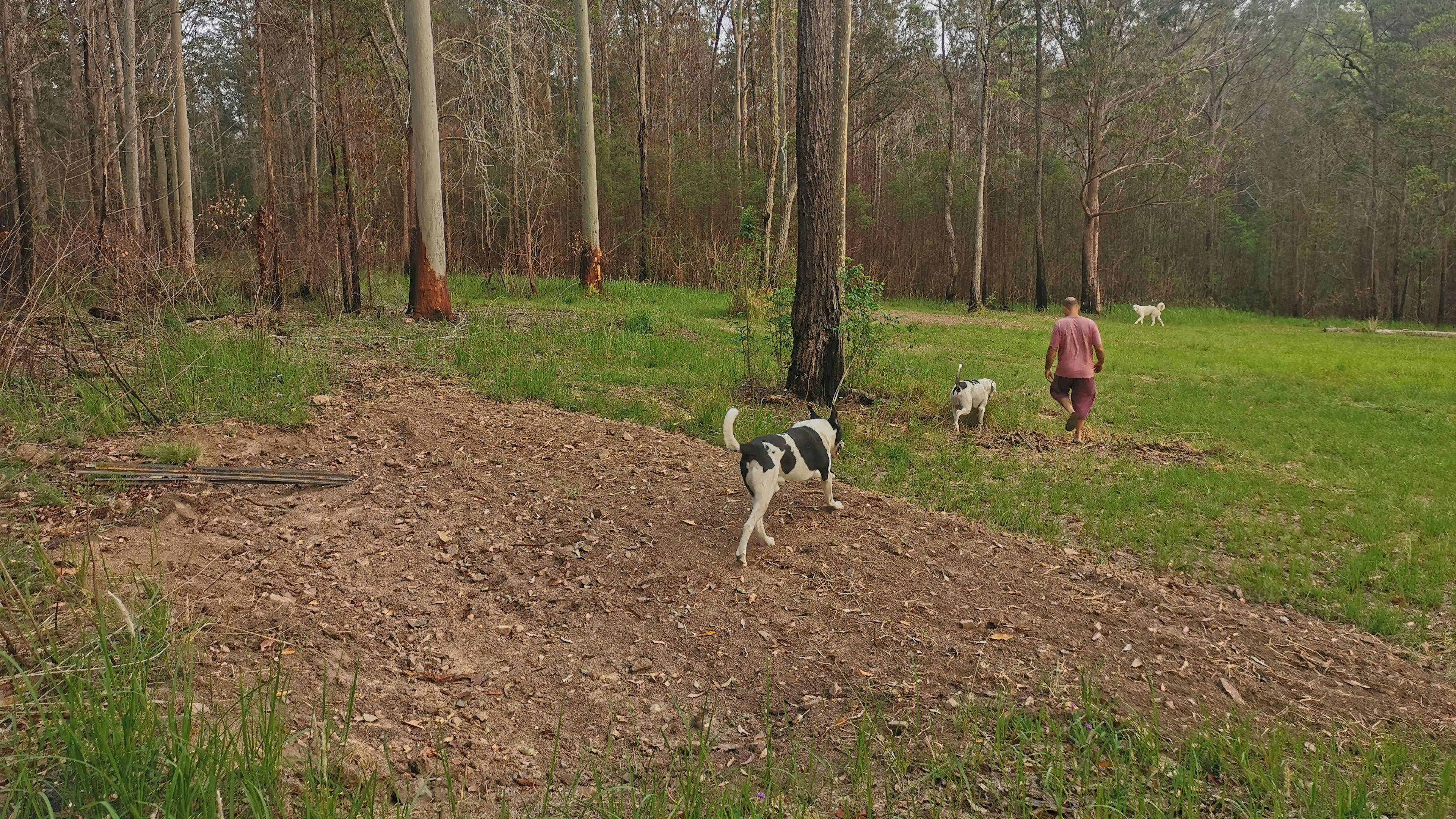 Site looking forward 