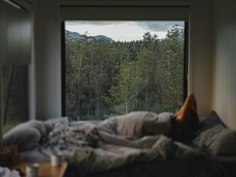 Into The Wild Escapes - Tiny Nancy