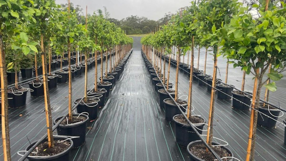 Island Acres