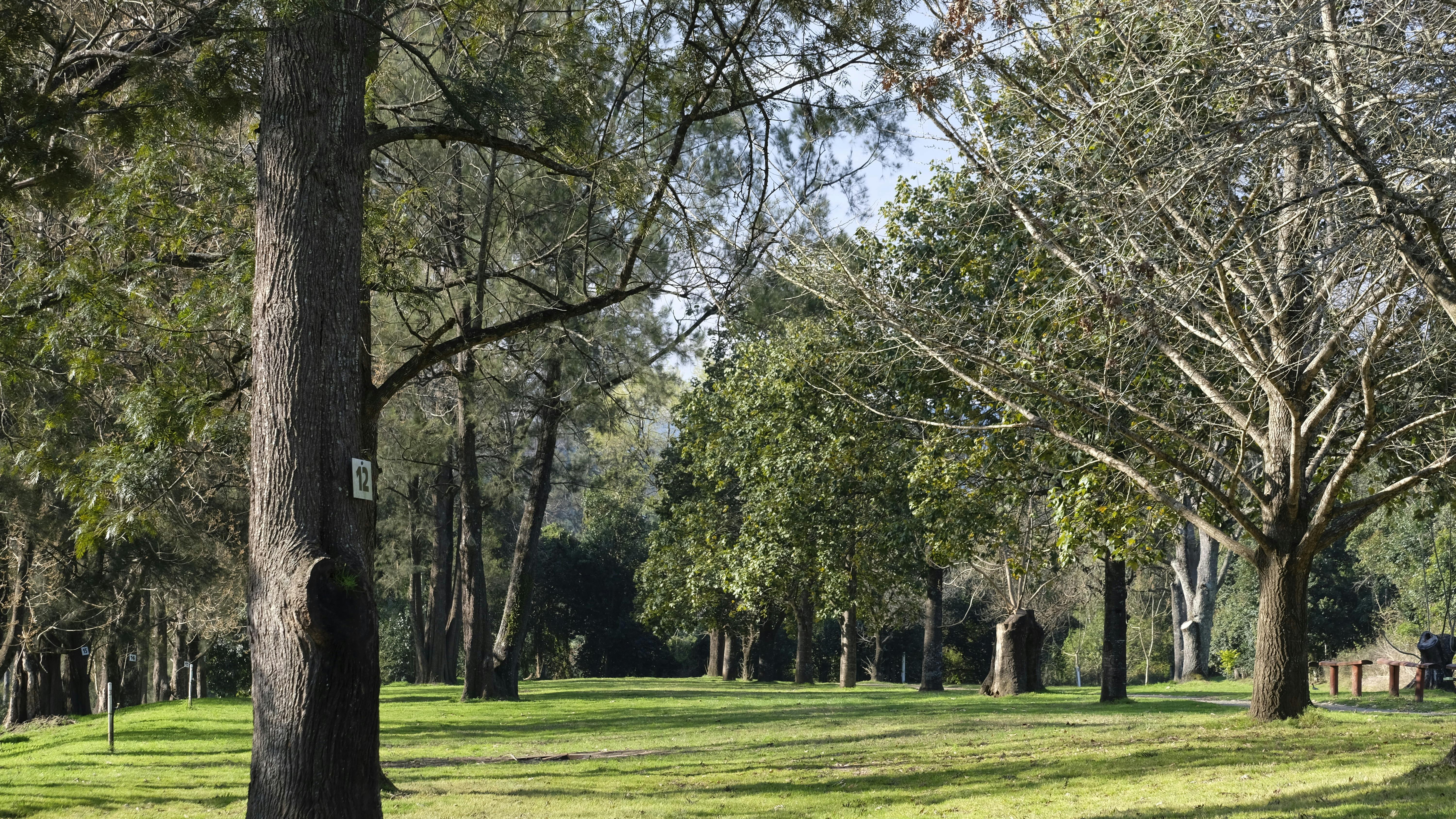 Our campground features lawns and trees
