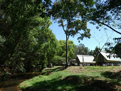 Creek huts overlooking the creek