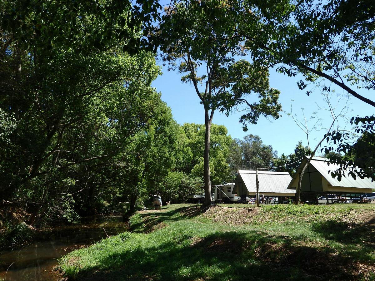 Creek huts overlooking the creek