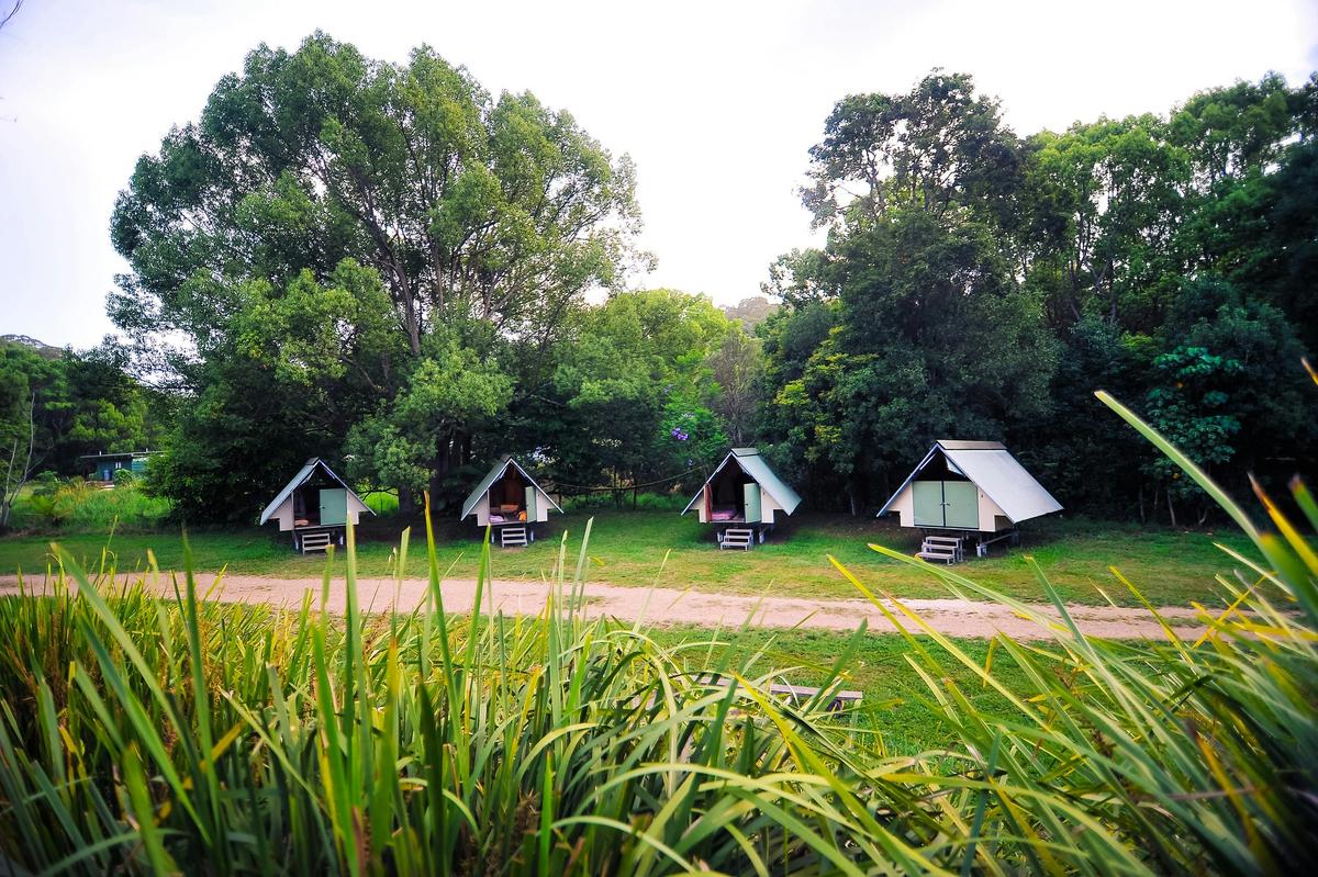 Glamping huts nestled beside the creek or with the mountain views on the ridge