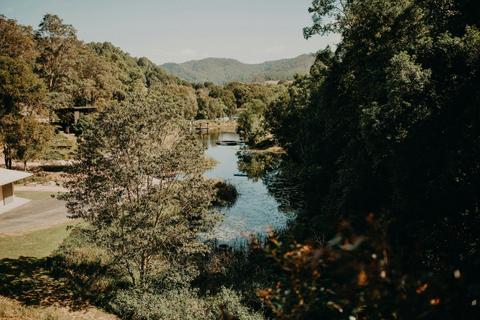 Lakeside cabin views