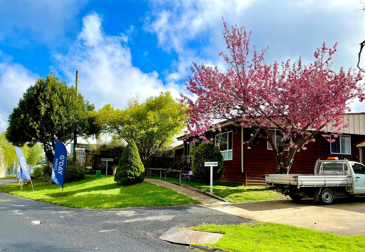 Jenolan Holiday Park