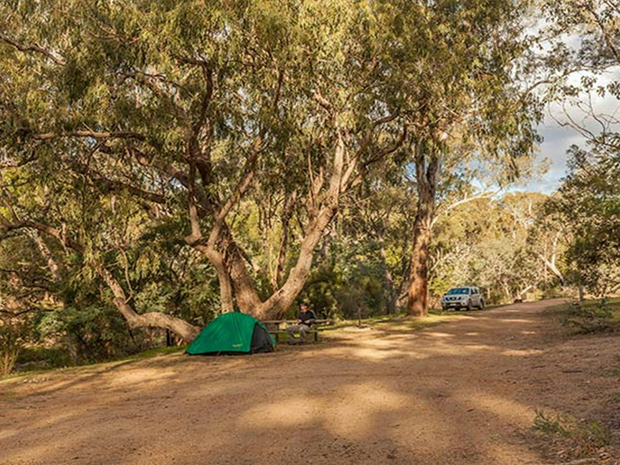 Jacobs River – Tongaroo campground, Kosciuszko National Park. Photo credit: Murray Vanderveer &copy;