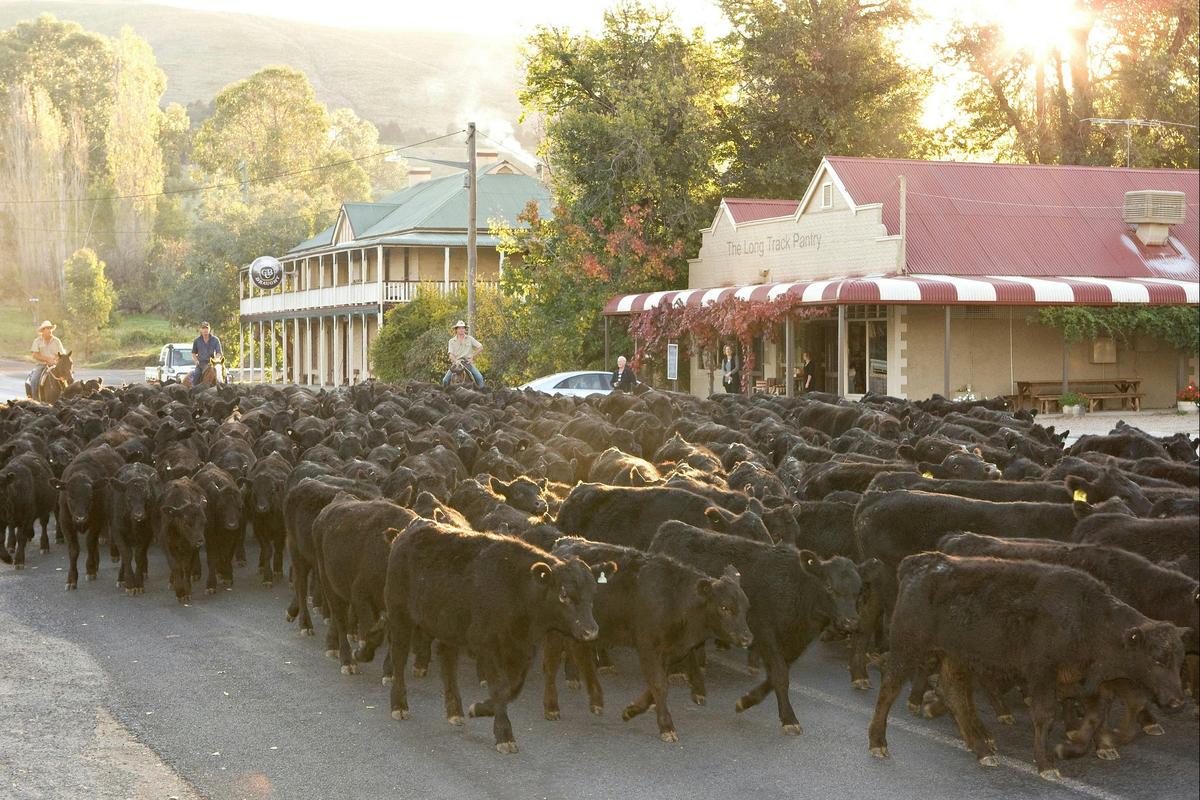 The Motel is conveniently located near Jugiong's heart