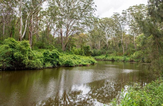 Fiddens Wharf Walking Track