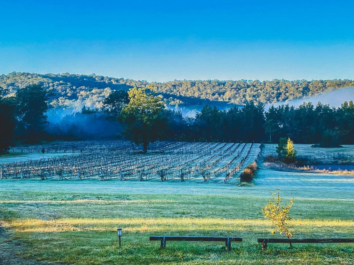 Wollombi Wines