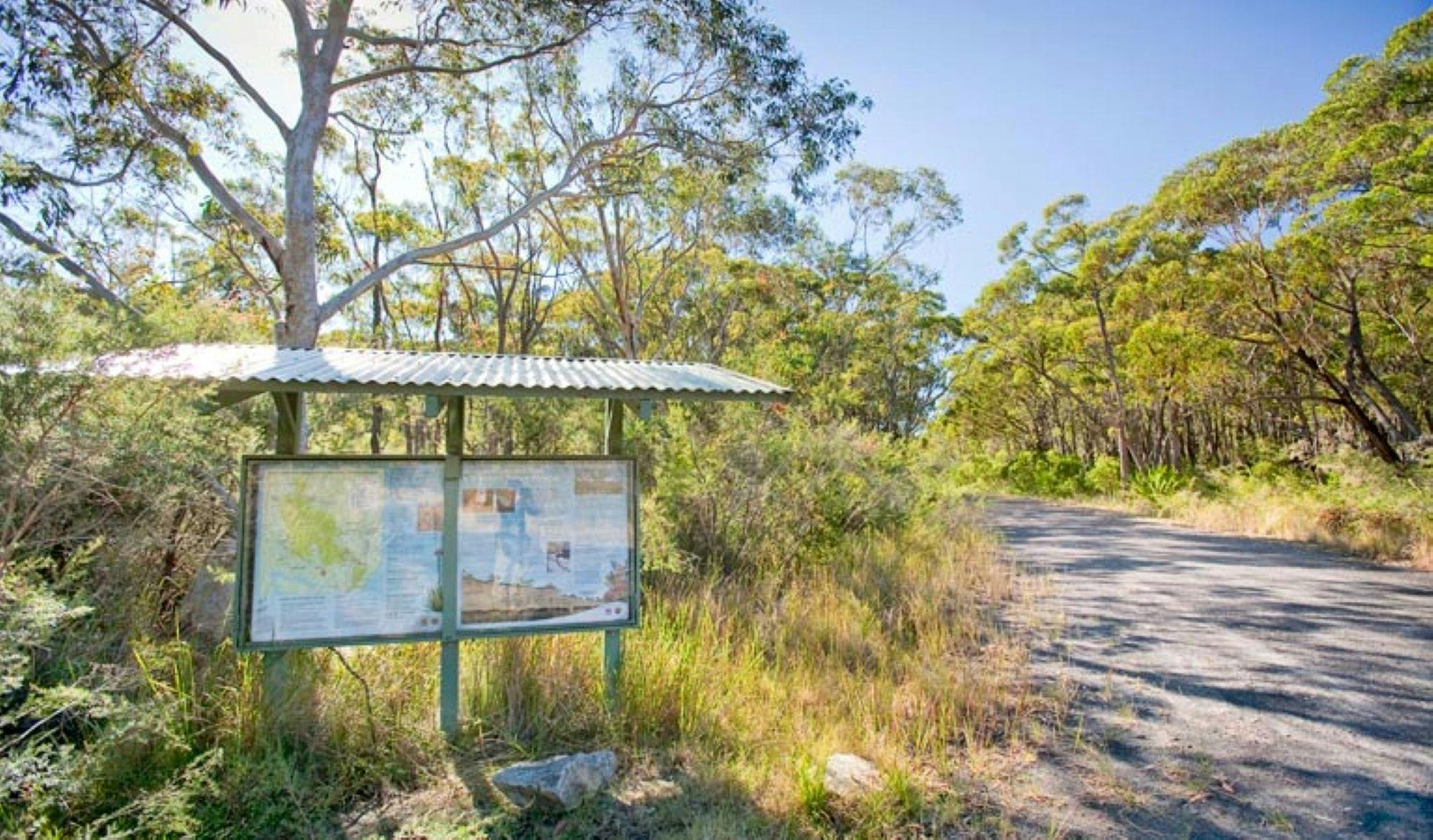 10b Cycling Trail in Dharawal National Park