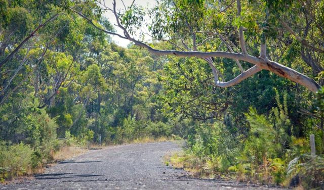 Cycling Trail in Dharawal National Park