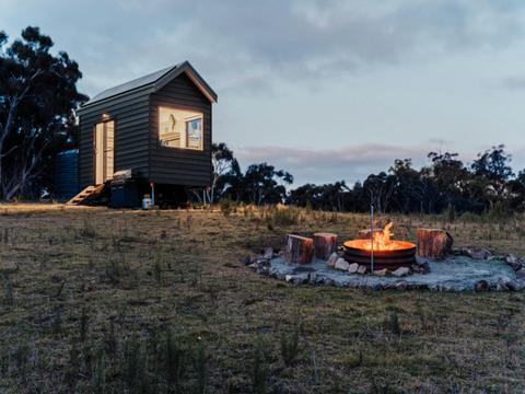 Into The Wild Escapes - Tiny Tristan