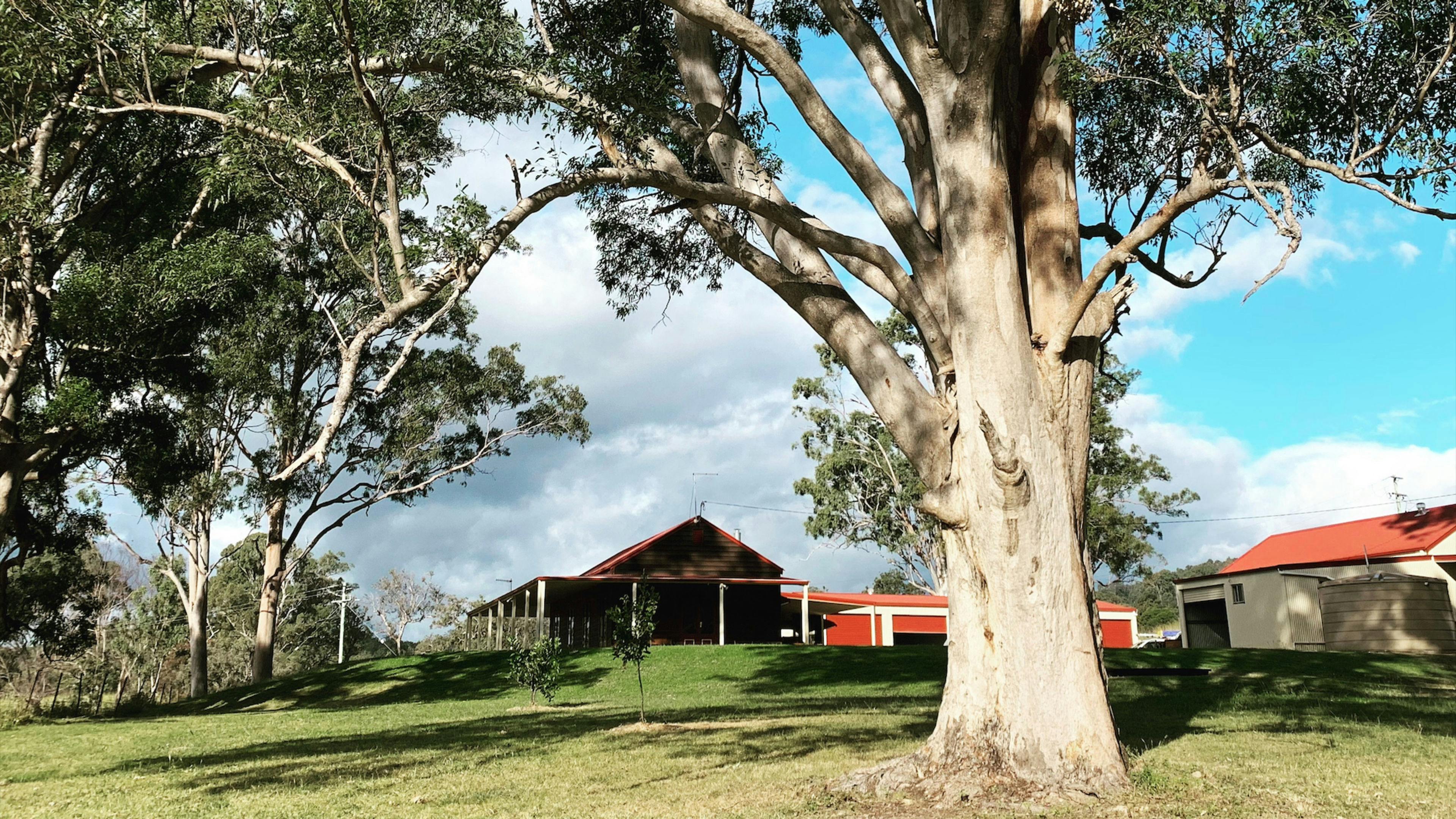 Killarney Nymboida River