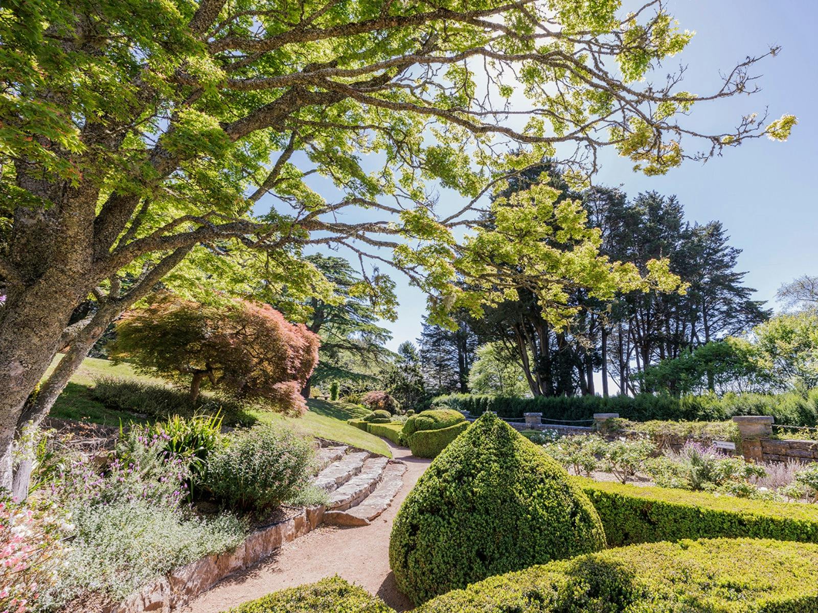 The Milton Park Gardens with a path surrounded by manicured hedges.