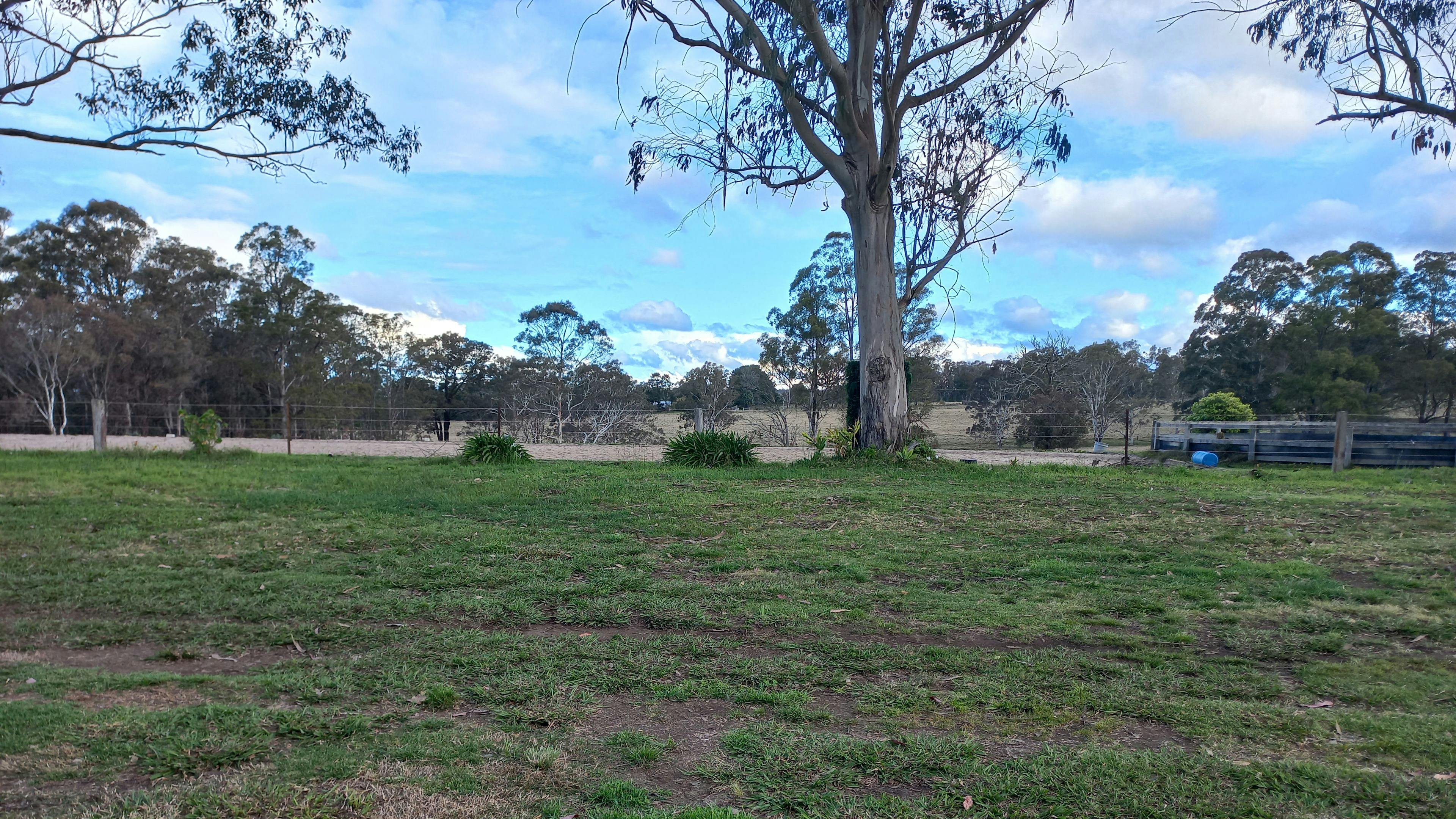 Melon Green at Oakdale