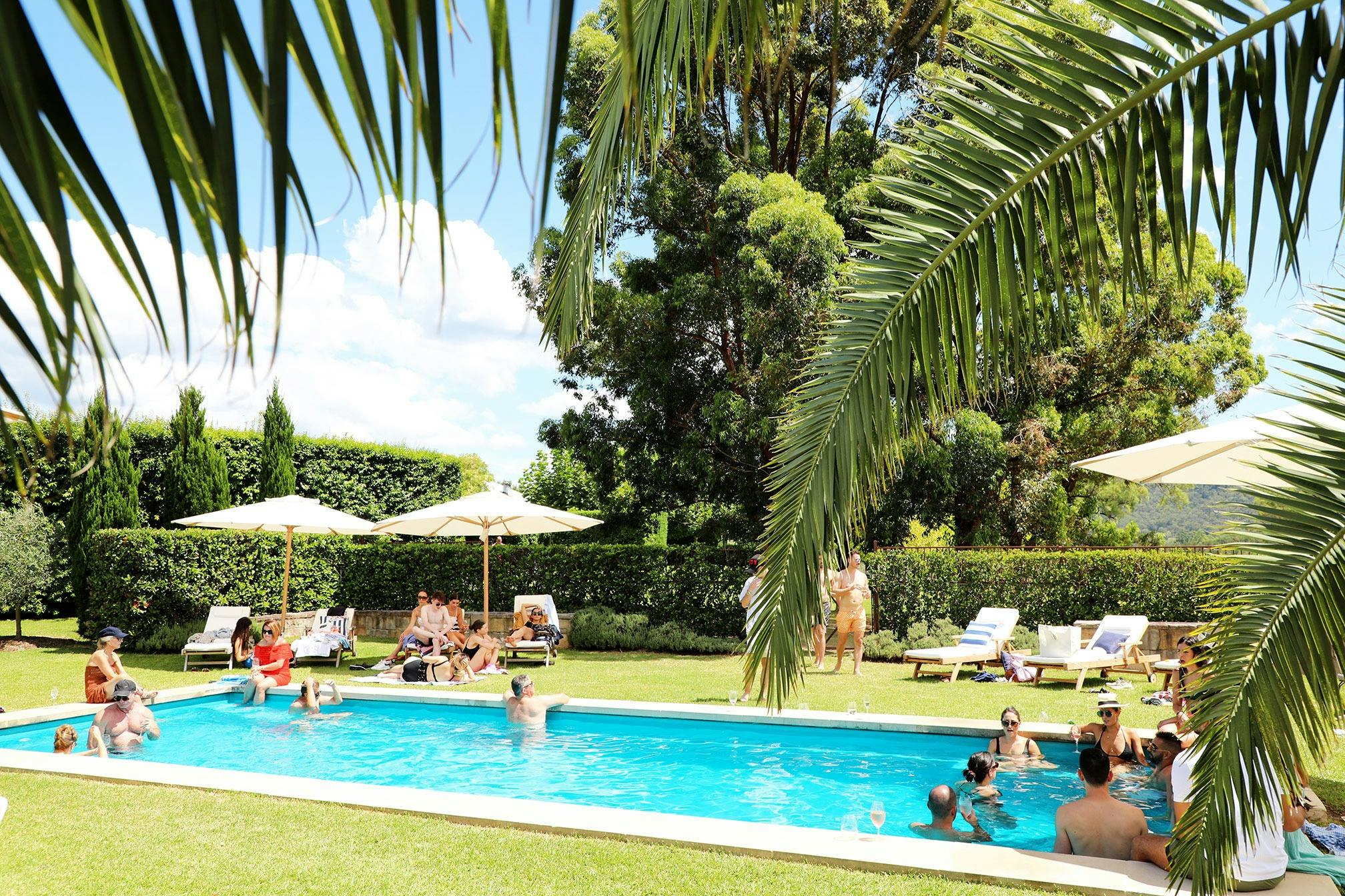 Guests enjoying the pool